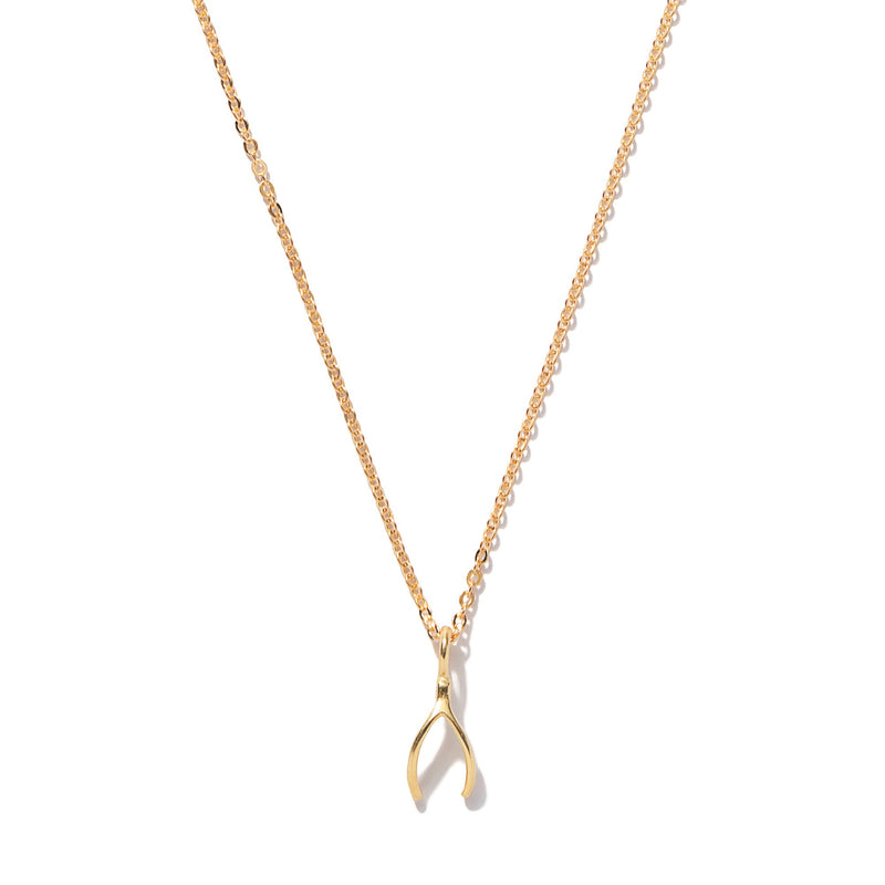 Tiny Wishbone Necklace | Giles & Brother