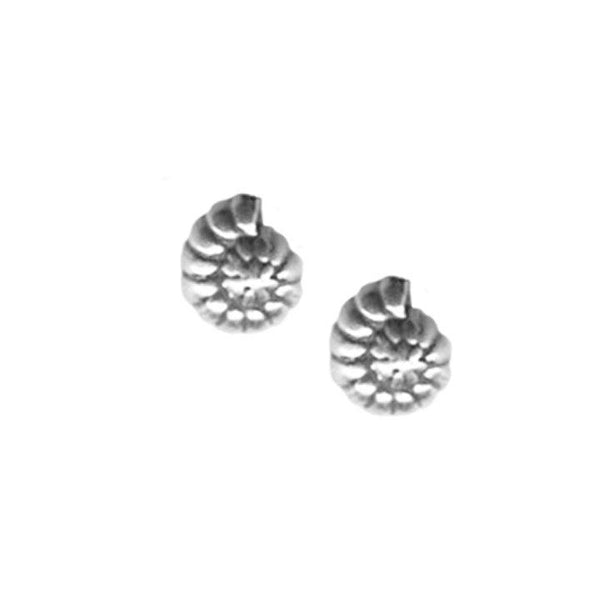 Tiny Nautilis Earrings | Giles & Brother